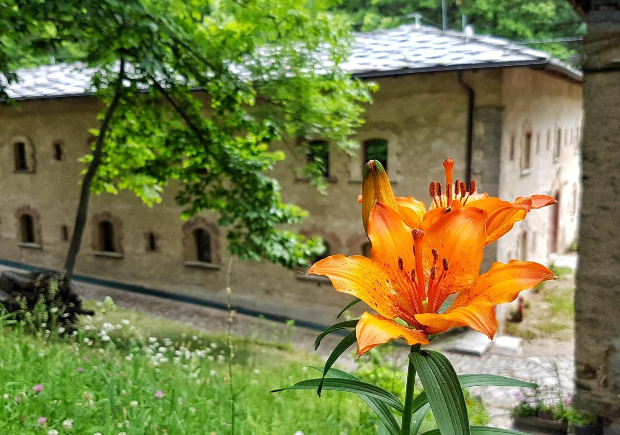 Forte Di Machaby Hostel Arnad Bagian luar foto